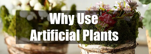 Why use artificial plants